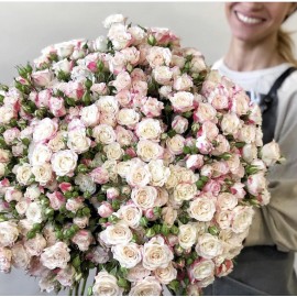 101 кустовая роза высота 70 см.