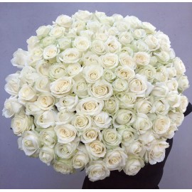 101 белая роза