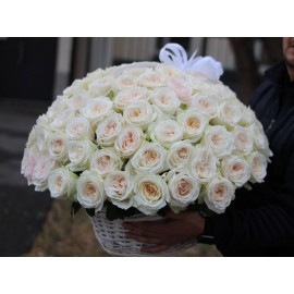 101 пионовидная роза Вайт о’хара в корзине 