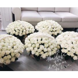 Безумная любовь 