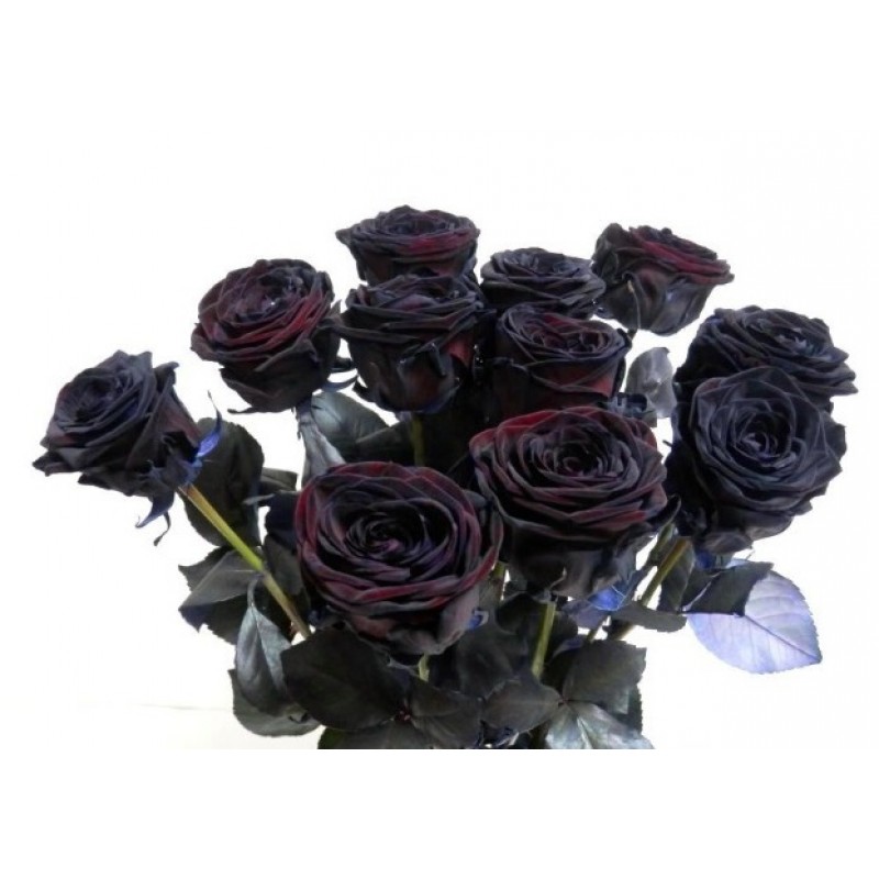Черные розы поштучно от 9 штук