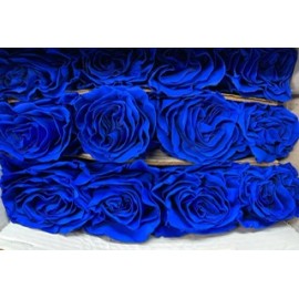 синие розы поштучно от 9 штук
