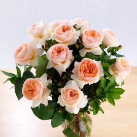 Моя Джульета