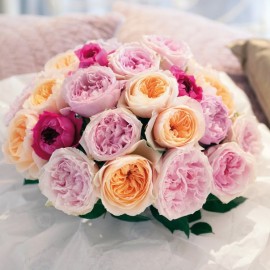 Утро в Манчестере