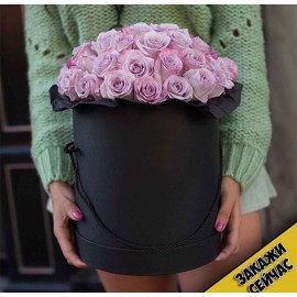 Сиреневые мечты