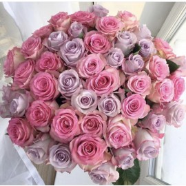 Розовый пурпур