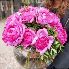 Восхищение Парижем