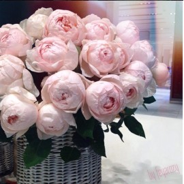 Пеони пинк в корзине