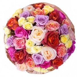 Ассорти из Прованса