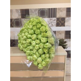 101 зелёная роза высотой 70 см.