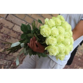 25 зелёных роз высота 70 см.