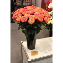 51 роза сорта Гудини в вазе