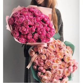 Кустовая роза Джульетта 