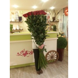 Розы 170 см., поштучно от 5 штук.