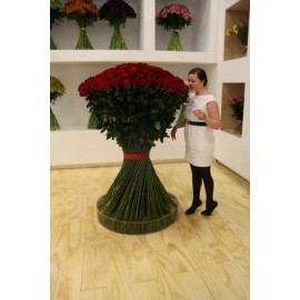 101 роза 150 см.