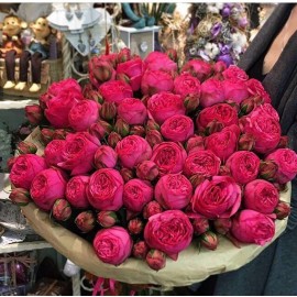 Королество Пинк Пиано