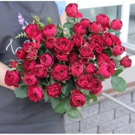 Розы Руби Джем.