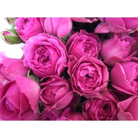 Мисти Баблс поштучно от 9 штук