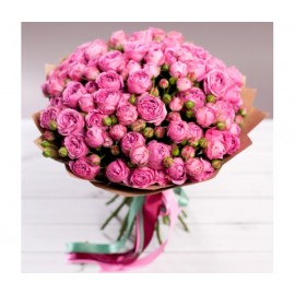 51 Мисти Баблз