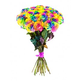 19 радужных роз