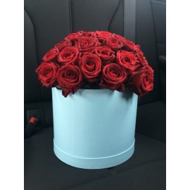 Милому созданию!