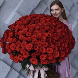 201 красная роза Эквадор