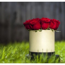 19 красных роз в коробке