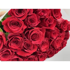 Красные Розы Эксплорер 80 см