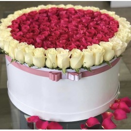 151 роза в коробке