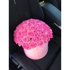 Сама нежность