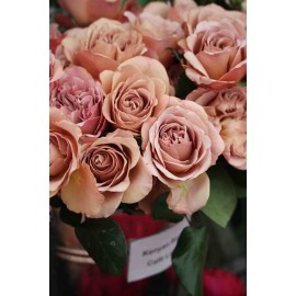 Розы Кофе Латте поштучно